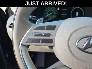 Hyundai PALISADE 2024 Calligraphy 4dr SUV