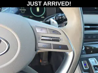 Hyundai PALISADE 2024 Calligraphy 4dr SUV