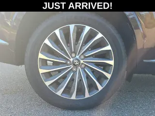 Hyundai PALISADE 2024 Calligraphy 4dr SUV