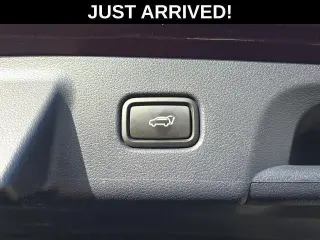 Hyundai PALISADE 2024 Calligraphy 4dr SUV