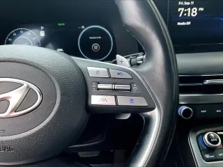 Hyundai PALISADE 2024 AWD Calligraphy 4dr SUV