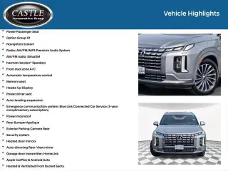 Hyundai PALISADE 2023 AWD Calligraphy 4dr SUV