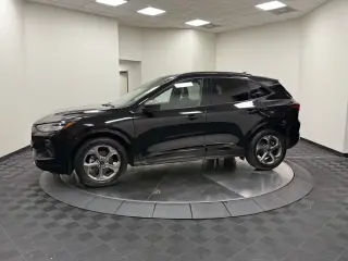 Ford Escape 2024 ST-Line 4dr SUV