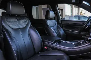Hyundai PALISADE 2024 Calligraphy 4dr SUV