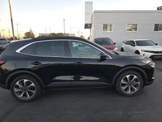 Ford Escape 2023 AWD Platinum 4dr SUV
