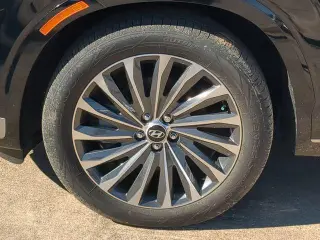 Hyundai PALISADE 2024 Calligraphy 4dr SUV