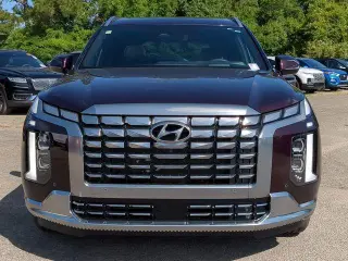 Hyundai PALISADE 2024 Calligraphy 4dr SUV