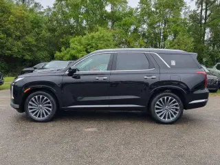 Hyundai PALISADE 2024 Calligraphy 4dr SUV