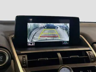 Lexus NX 300 2021 F SPORT 4dr Crossover