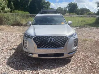 Hyundai PALISADE 2022 Calligraphy 4dr SUV