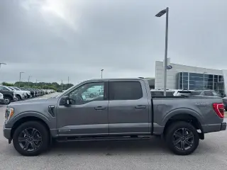 Ford F-150 2023 4x4 XLT 4dr SuperCrew 6.5 ft. SB