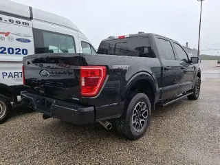Ford F-150 2023 4x4 XLT 4dr SuperCrew 5.5 ft. SB