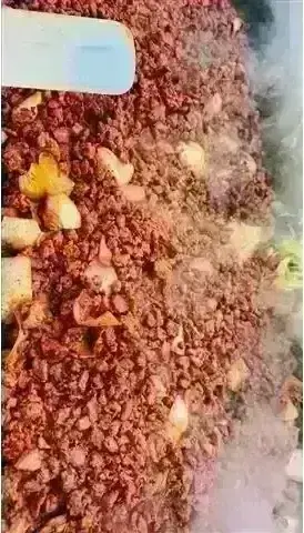 Ricas Taquizas para Fiestas 🌮