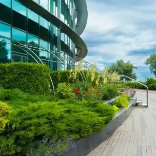 🌴 ¡LANDSCAPING PROFESIONAL EN LAS VEGAS! 🌴