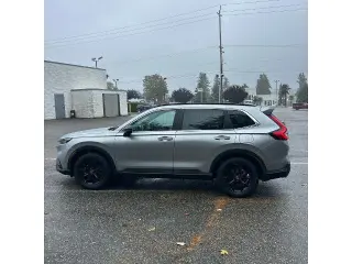 Honda CR-V Hybrid 2024 AWD Sport-L 4p SUV