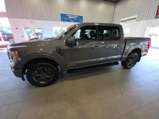 Ford F-150 2023 4x4 XLT 4p SuperCrew 6.5 ft. SB