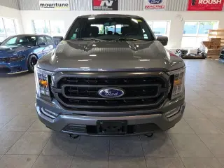 Ford F-150 2023 4x4 XLT 4p SuperCrew 6.5 ft. SB