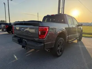 Ford F-150 2023 4x4 XLT 4dr SuperCrew 5.5 ft. SB