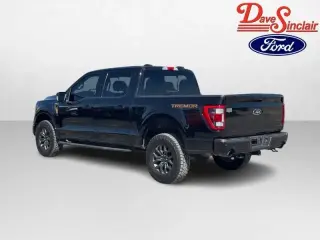 Ford F-150 2021 4x4 Tremor 4dr SuperCrew 5.5 ft. SB