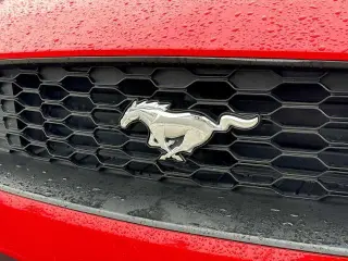 Ford Mustang 2019 EcoBoost Premium 2dr Convertible