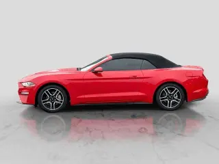 Ford Mustang 2019 EcoBoost Premium 2dr Convertible