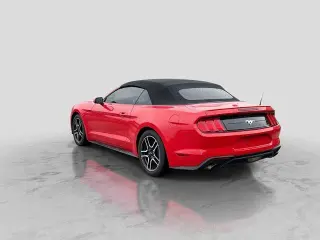 Ford Mustang 2019 EcoBoost Premium 2dr Convertible
