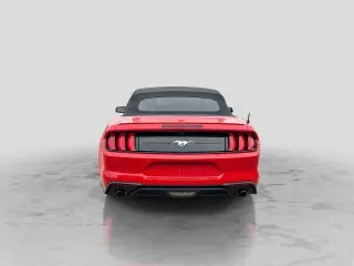 Ford Mustang 2019 EcoBoost Premium 2dr Convertible