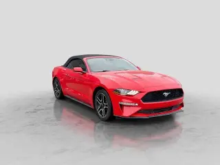 Ford Mustang 2019 EcoBoost Premium 2dr Convertible