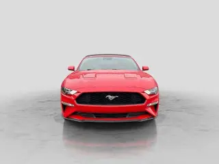 Ford Mustang 2019 EcoBoost Premium 2dr Convertible