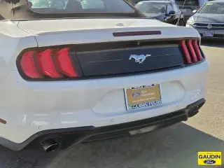 Ford Mustang 2022 EcoBoost Premium 2dr Convertible
