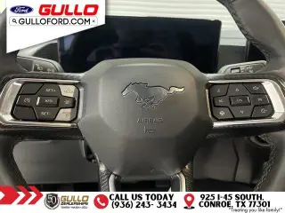 Ford Mustang 2024 EcoBoost 2dr Fastback