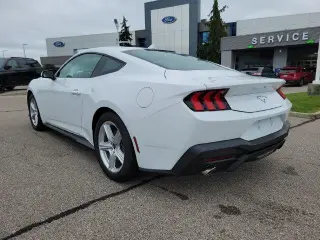 Ford Mustang 2026 EcoBoost Premium 2dr Fastback