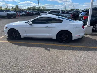 Ford Mustang 2015 EcoBoost Premium 2dr Fastback