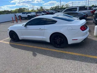 Ford Mustang 2015 EcoBoost Premium 2dr Fastback