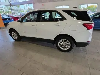 Chevrolet Equinox 2019 LS 4dr SUV con 1LS