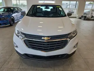 Chevrolet Equinox 2019 LS 4dr SUV con 1LS