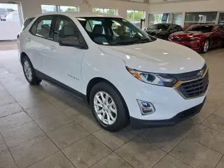 Chevrolet Equinox 2019 LS 4dr SUV con 1LS