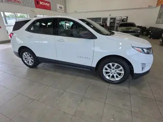 Chevrolet Equinox 2019 LS 4dr SUV con 1LS