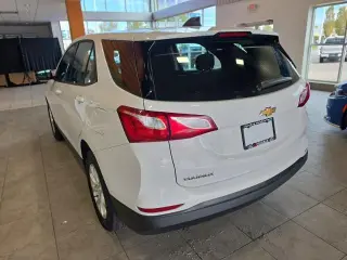 Chevrolet Equinox 2019 LS 4dr SUV con 1LS