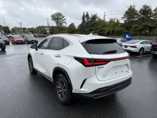 Lexus NX 350 2022