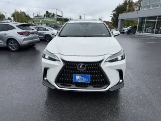 Lexus NX 350 2022
