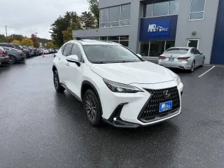 Lexus NX 350 2022