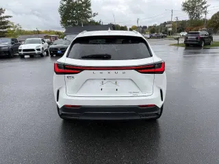 Lexus NX 350 2022
