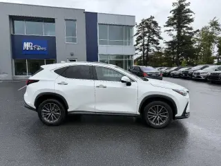 Lexus NX 350 2022