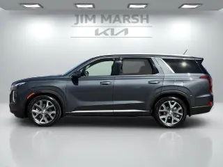 Hyundai PALISADE 2020 SEL 4dr SUV