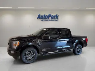 Ford F-150 2023 4x4 XLT 4dr SuperCrew 5.5 ft. SB