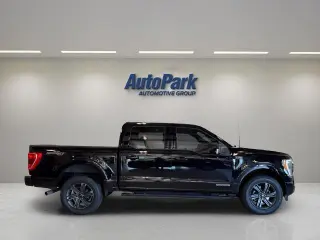Ford F-150 2023 4x4 XLT 4dr SuperCrew 5.5 ft. SB
