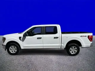 Ford F-150 2023 4x4 XLT 4p SuperCrew 6.5 ft. SB