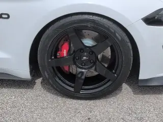 Ford Mustang 2019 GT Premium 2p Fastback
