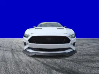 Ford Mustang 2019 GT Premium 2p Fastback